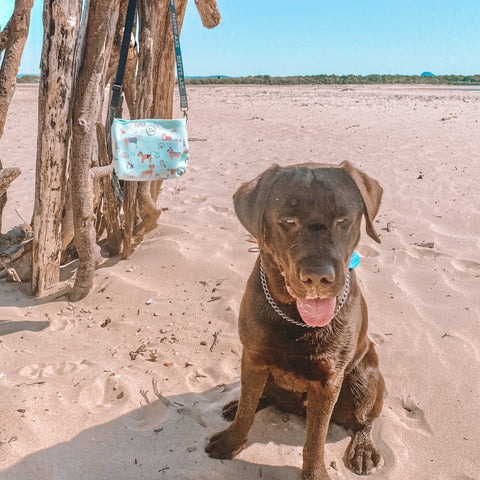 The Rocky - Sand Free, Dog Towel