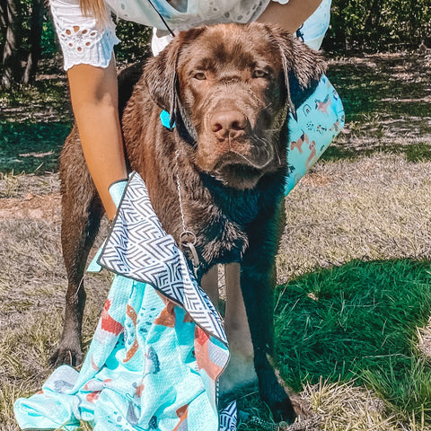 The Rocky - Sand Free, Dog Towel