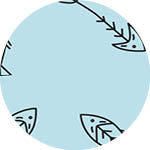 Sky Gazer's Coogee Collection