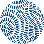 Sky Gazer's Waikiki Collection