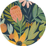 Sky Gazer's Twilight Collection