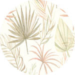 Sky Gazer's Whitehaven Collection