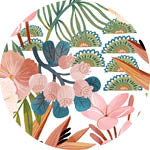 Sky Gazer's Avalon Collection