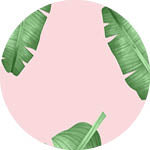 Sky Gazer's Balmoral Collection