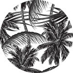 Sky Gazer's Bondi Collection