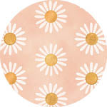 Sky Gazer's Bronte Collection