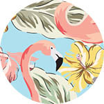 Sky Gazer's Byron Collection