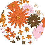 Sky Gazer's Cabarita Collection