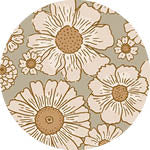 Sky Gazer's Casuarina Collection